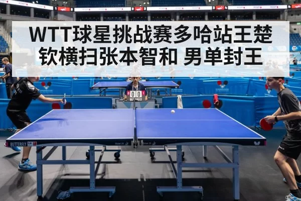 WTT球星挑战赛多哈站王楚钦横扫张本智和 男单封王