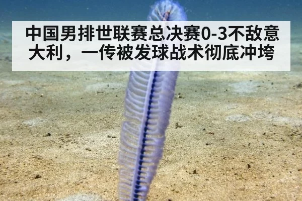 中国男排世联赛总决赛0-3不敌意大利，一传被发球战术彻底冲垮