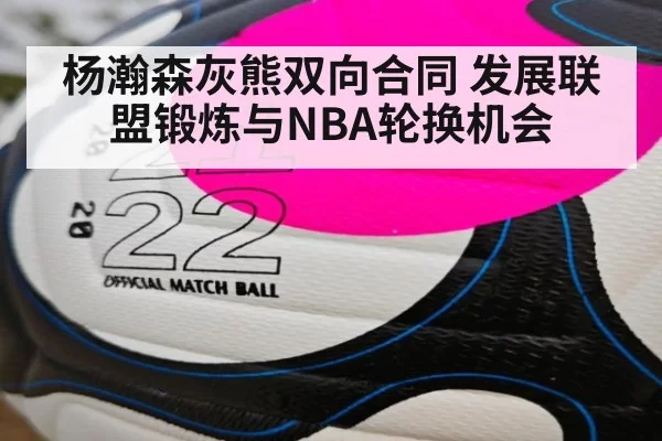 杨瀚森灰熊双向合同 发展联盟锻炼与NBA轮换机会